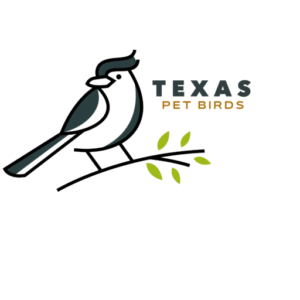 buy texas pet birds