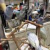Cobalt Blue Parakeet for sale (Updated Feb. 2026)